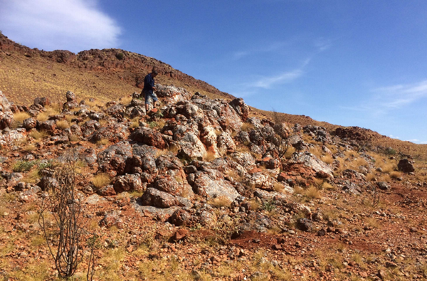 De Grey Mining Aufschluss mit Quarzgängen im Prospektionsgebiet Clarke die hochgradige Gesteinssplitterproben lieferten