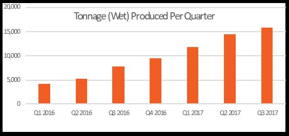 Pasinex Produktion pro Quartal 2017