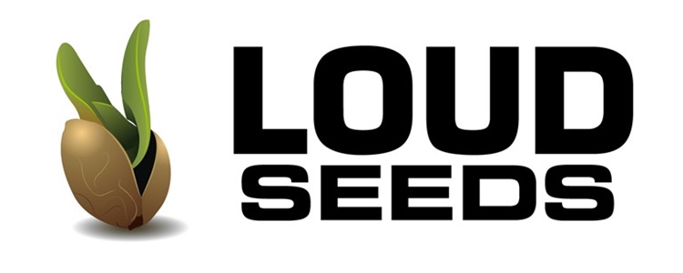 NextGreenWave Loud Seeds