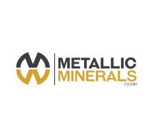 Logo_Metallic