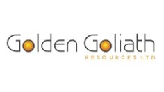 300x150_GoldenGoliath