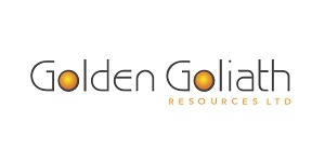 300x150_GoldenGoliath