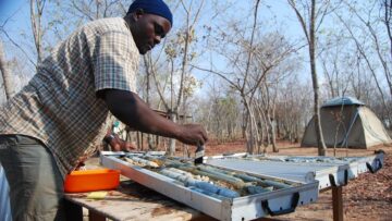 Tembo Gold prepares for longer lasting drilling campaign in Tanzania