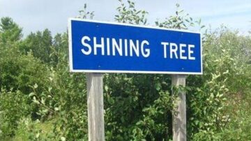 PTX_-_Shining_Tree_klein-min