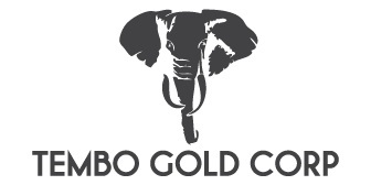 300x150 Tembo Logo
