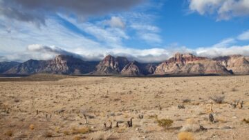 Rover Metals sichert sich 24 km² großes Tonstein-Lithiumprojekt in Nevada