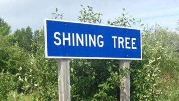 Platinex führt zweigleisige Explorationsaktivitäten auf Goldprojekt Shining Tree fort