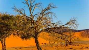 Askari Metals: Auf dem Uis-Lithiumprojekt in Namibia drehen sich die Bohrer