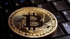 HIVE Blockchain: 282 Bitcoins im März produziert