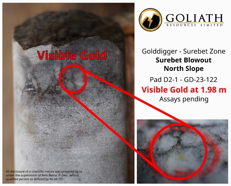 Goliath Resources Sichtbares Gold in nicht einmal 2 Metern Tiefe