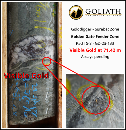 Goliath Resources: Anzeichen auf hochgradige Goldvererzung verdichten sich