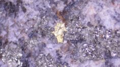 Goldshore Resources – Visible gold flake within a quartz-carbonate-pyrite vein at 190_42m 1_6m_ 544 gt Au in MMD-22-105