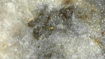 Sitka Gold – Examples of Visible Gold Observed in DDRCCC-22-024