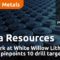 Usha Resources fieldwork at White Willow Lithium  Project pinpoints 10 drill targets