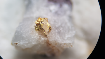 Aston Bay – Examples of visible gold taken from outcrop, Buckingham Property, Virginia USA. See Aston Bay March 4, 2019 press release.