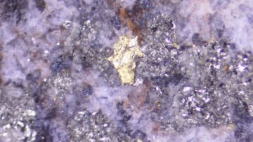 Goldshore Resources – Visible gold flake within a quartz-carbonate-pyrite vein at 190_42m 1_6m_ 544 gt Au in MMD-22-105