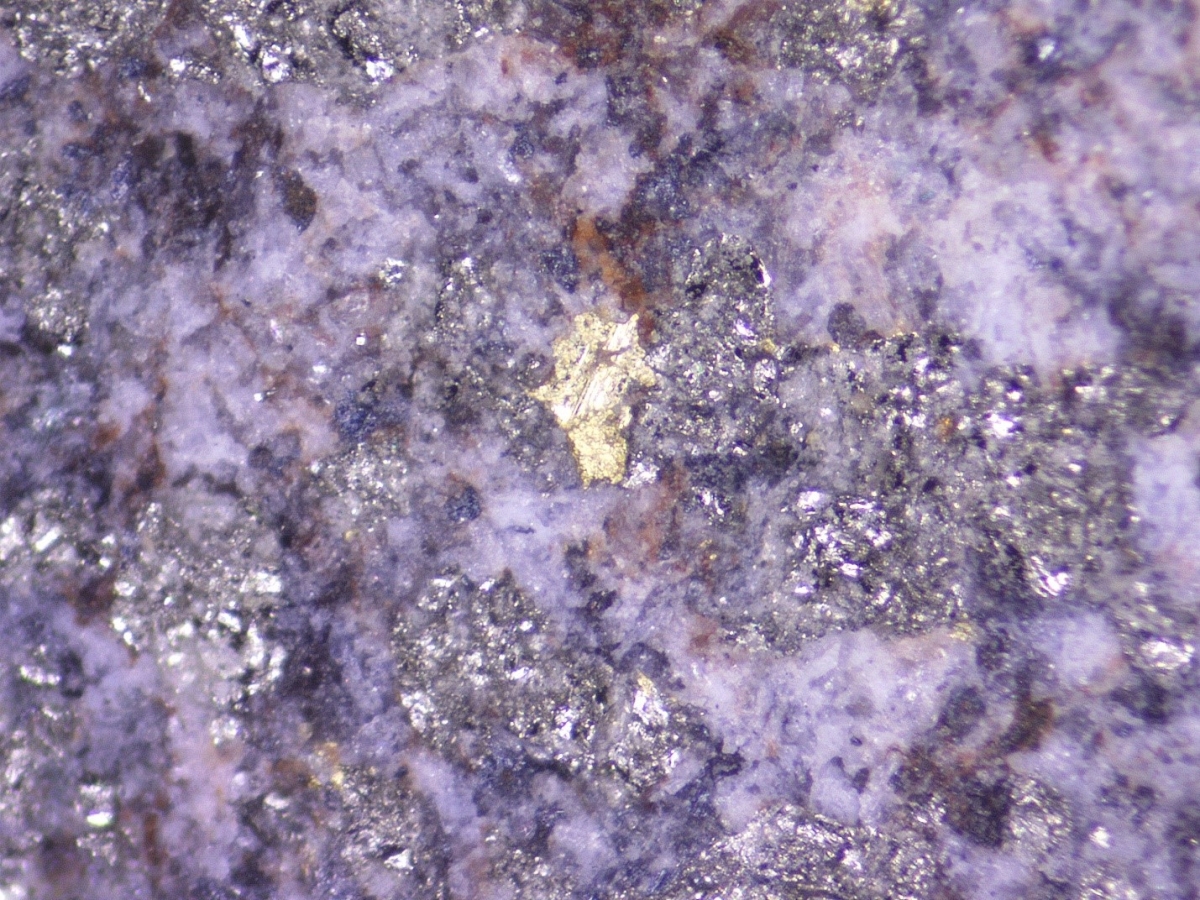 Sichtbare Golddlocken in Quarz-Karbonat-Pyrit-Ader