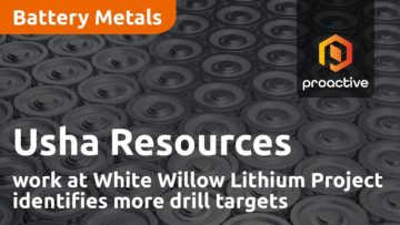 Usha Resources work at White Willow Lithium Project identifies more drill targets