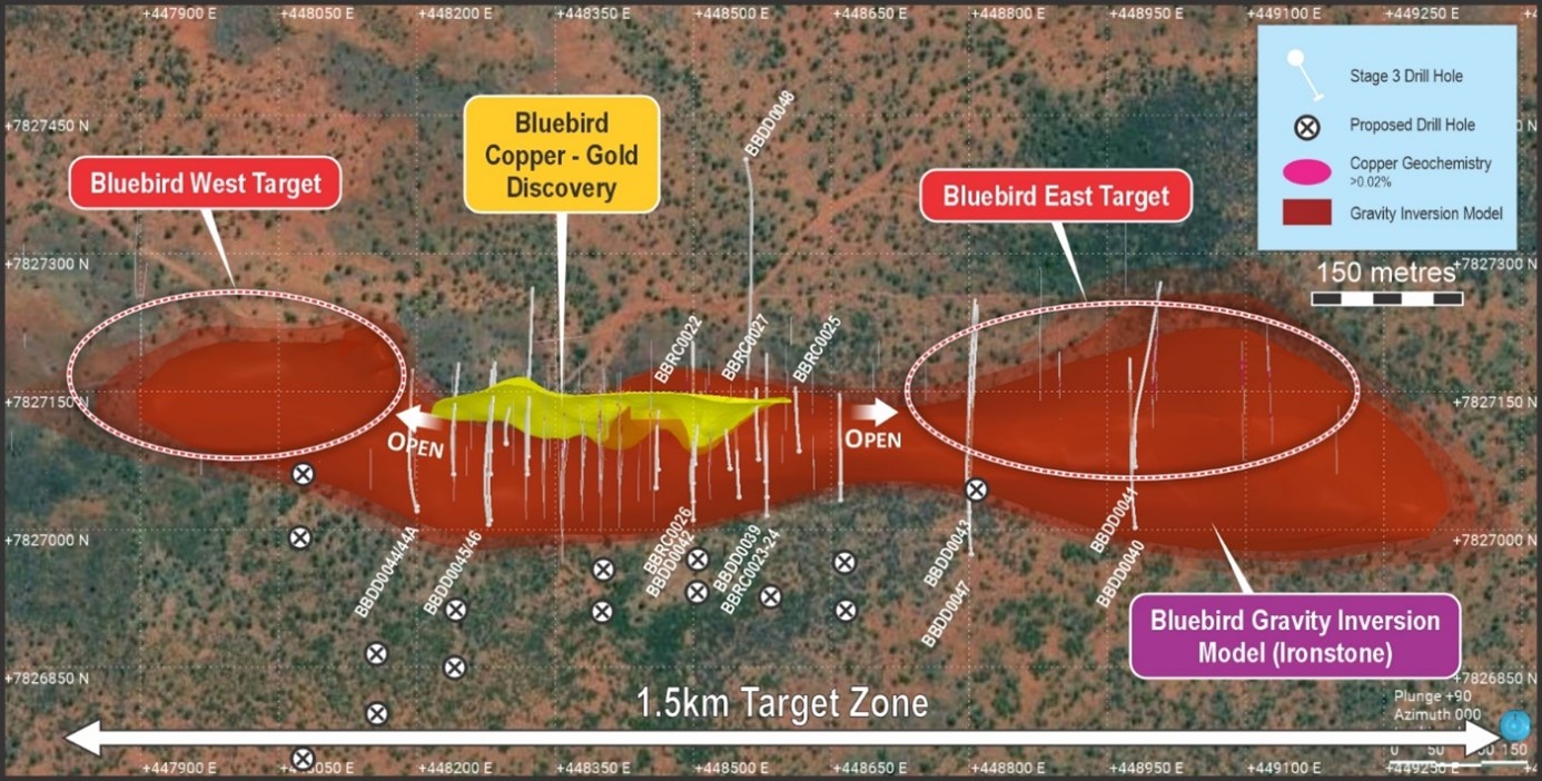 3D gravity inversion model of the "Bluebird" area with marked copper-gold targets and drill plans in a 1.5 km long zone surrounded by forest area.