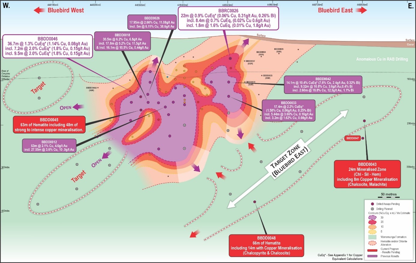 Geologische Karte von "Bluebird" mit Kupfer- und Goldabschnitten, bohrfertigen Zielen und hematitreichen Zonen, farbcodiert nach Mineralisierungsstärke und geplanten Bohrungen.