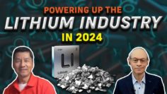 Arctic Foxs CEO Reveals Latest Triumphs, 2024 Lithium Outlook, Undervalued Stock Opportunity💰