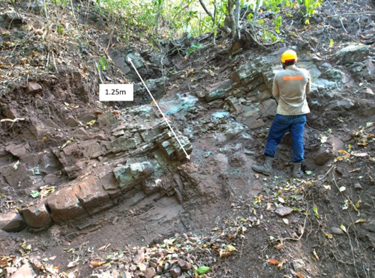 A person in work clothes and a helmet looks at a rock stratification in the forest, next to a measuring stick that indicates 1.25 meters.