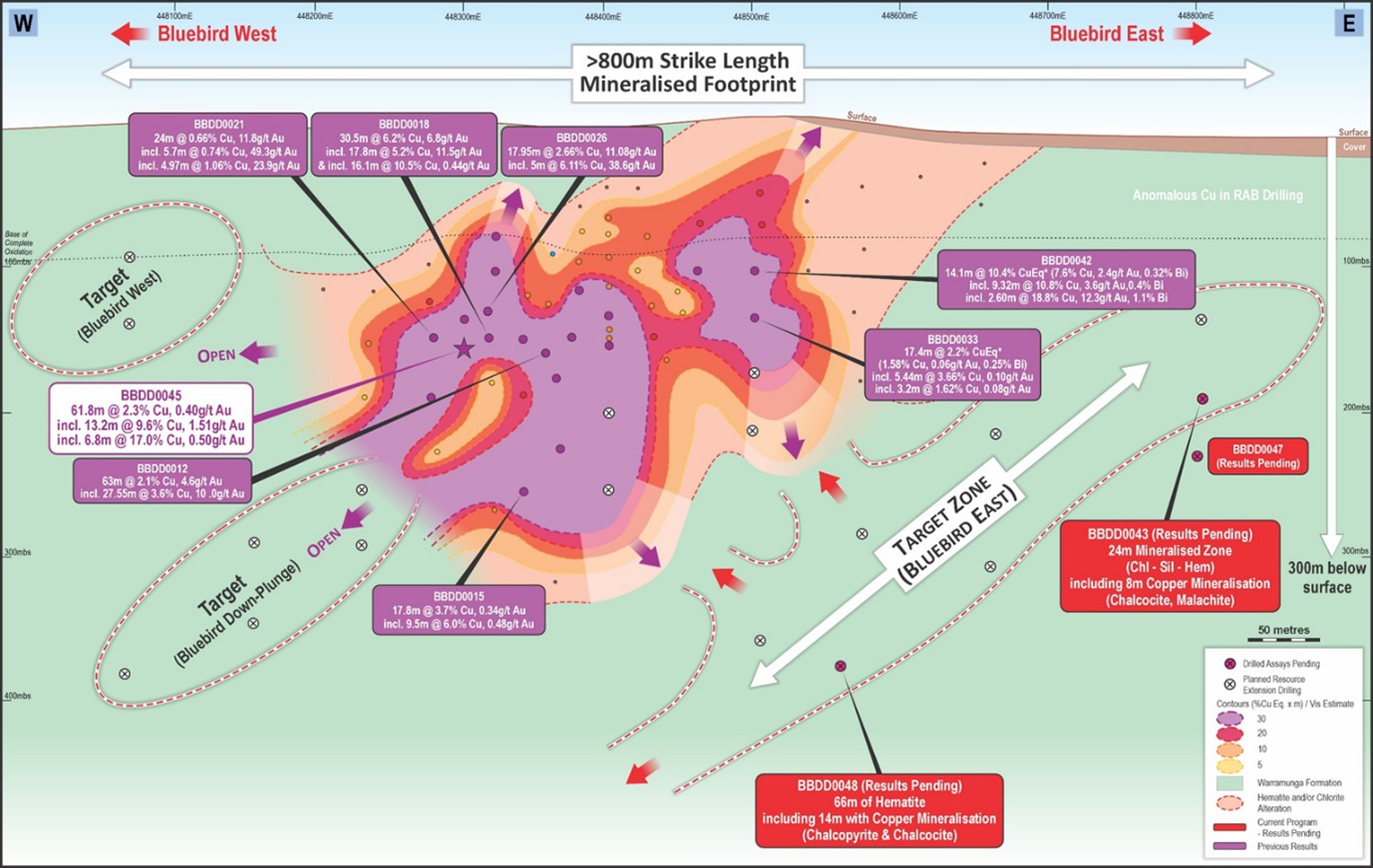 Geological map of the Bluebird region shows >800m strike length with mineralized footprint, target zones and drill results.