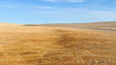 American West – Abbildung 3 Foto des südlichen Bereichs der Tempest-Kupfer- und -Zink-Gossane mit Blick nach Norden