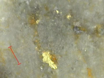 Sitka Gold – Example of visible gold observed in DDRCCC-24-057