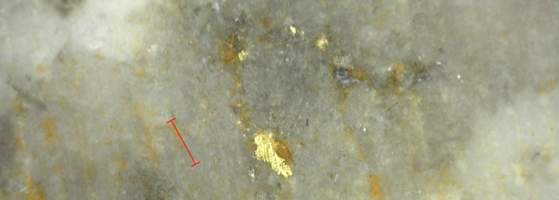 Sitka Gold Reports Visible Gold in first Step-Out Next to Best Drill Hole at RC Gold Project