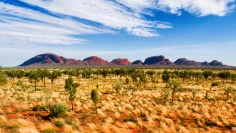 Zentralaustralische Landschaft – Depositphotos_10108745_GI NEU