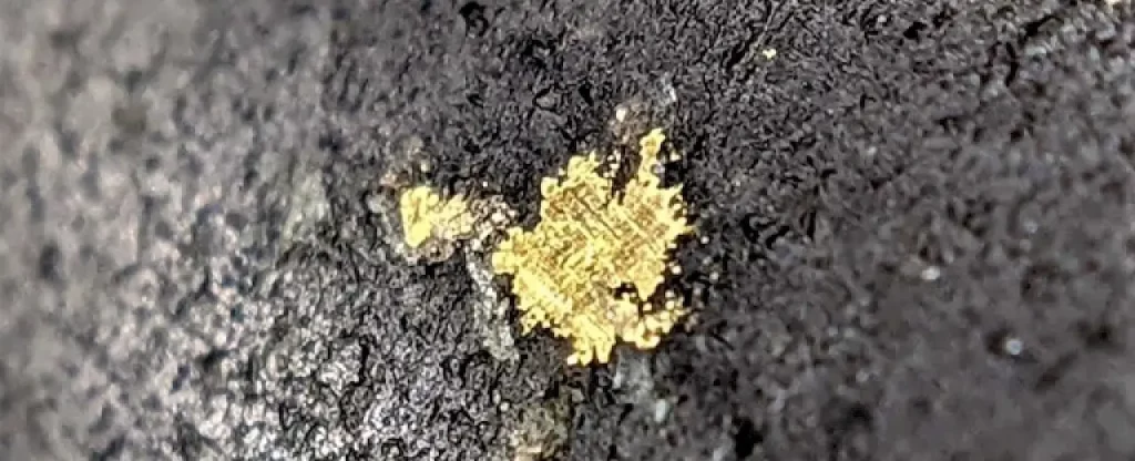Gold Terra Resource durchschneidet bislang unbekannte Goldvererzung