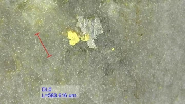 Sitka Gold – Example of visible gold observed in DDRCCC-24-058 at 476_9 m_GI NEU