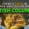 Strike Gold with Golden Cariboo Resources (CSE: GCC): A Promising Investment in Historic Territory