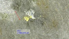 Sitka Gold – Photomicrograph showing visible gold and bismuthinite in quartz vein at 476,9m from hole DDRCCCC-24-058_GI NEU