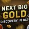Massive 263-Meter Gold Zone Discovered in BC: Golden Cariboo Resources CEO Shares New Drill Results