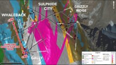 2024 DIAMOND DRILLING HIGHLIGHTS AT THE SILVER LIME PROJECT