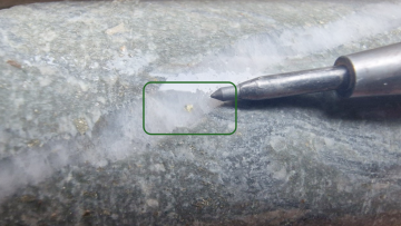 Golden Cariboo – Example of visible gold in drill hole QGQ24-20 at a depth of 131_1 m_GI NEU