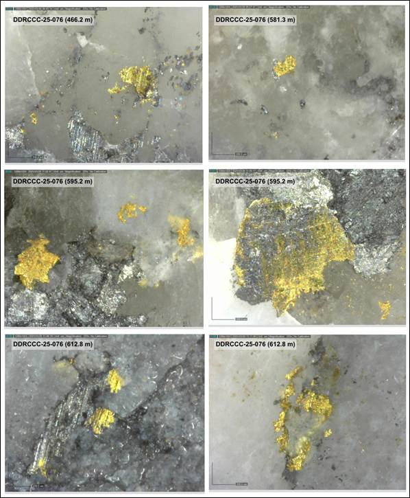image 5-GOLDINVEST