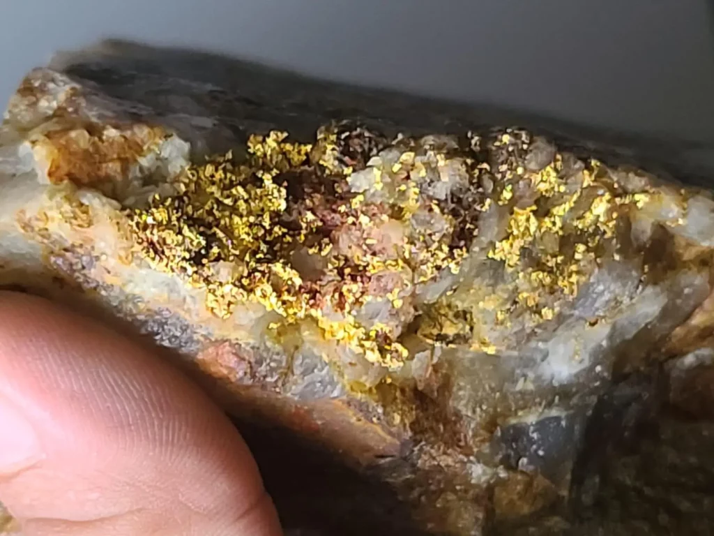 Goldvererzung Suriname Sranan Gold