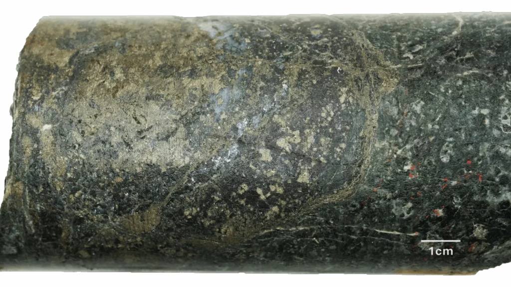 Brixton Metals – Close-up of the mineralized core in drill hole THN25-344 at 229.20 meters depth